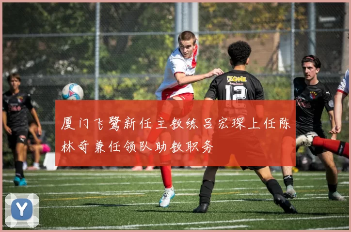 厦门飞鹭新任主教练吕宏琛上任陈林奇兼任领队助教职务