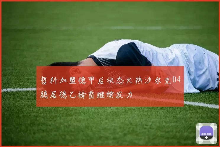 哲科加盟德甲后状态火热沙尔克04稳居德乙榜首继续发力